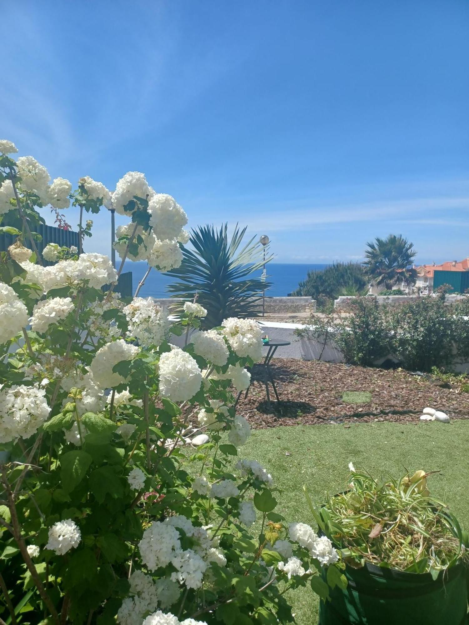 Ericeira Su Villa'S Екстер'єр фото