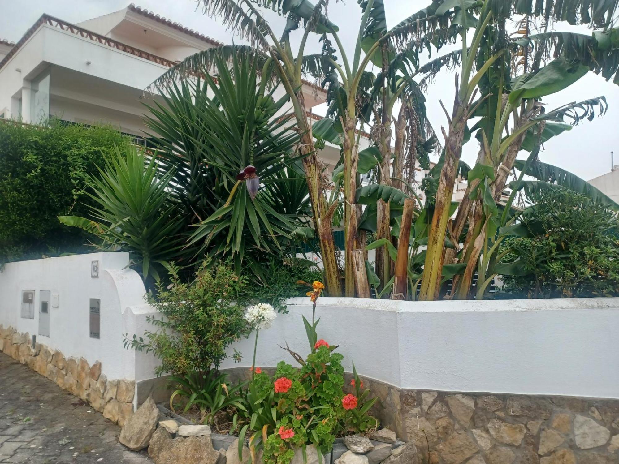 Ericeira Su Villa'S Екстер'єр фото